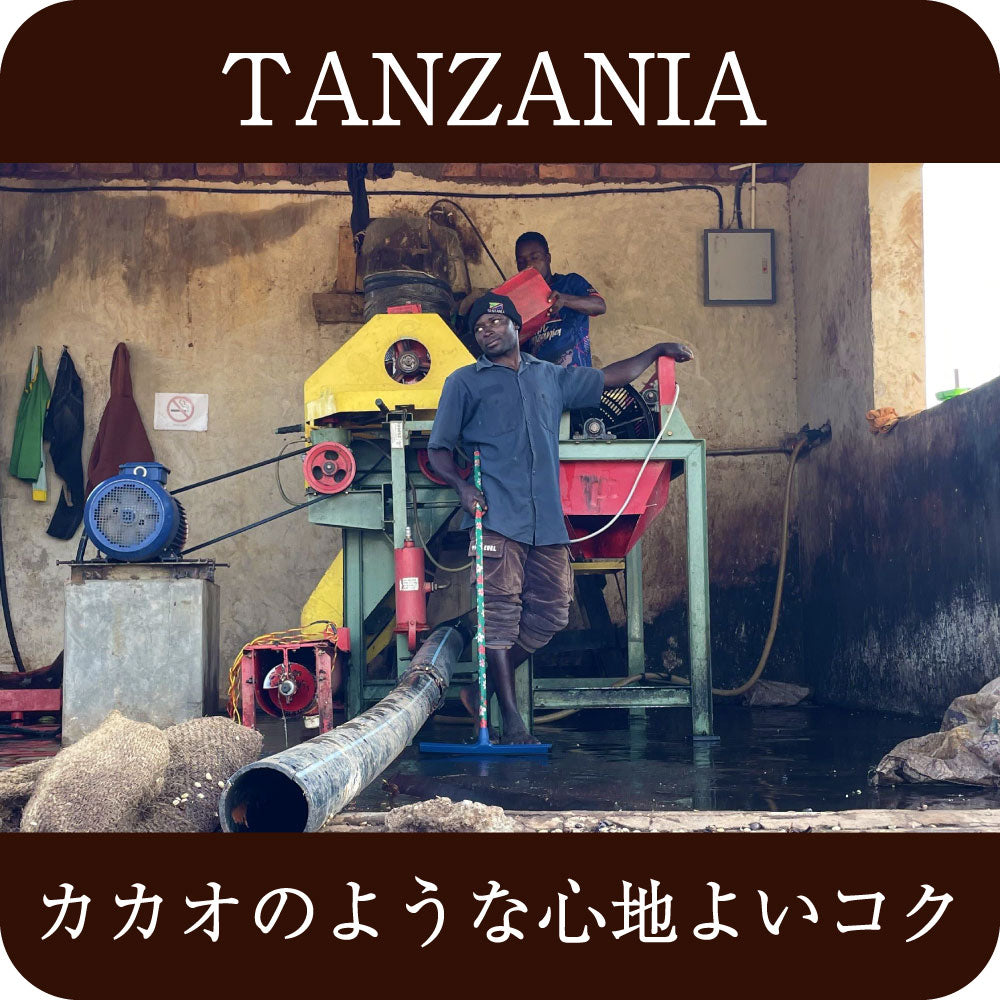 《ドリップバック》タンザニア イユラ【中深煎り】 【何個でも送料330円】