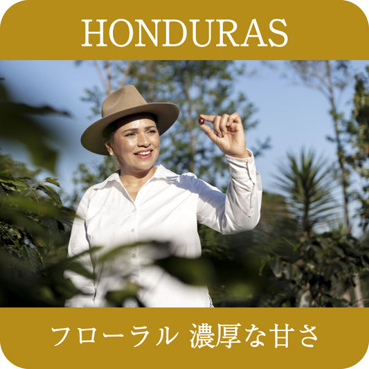 ホンジュラス 　エルプエンテ農園 ゲイシャ【浅煎り】