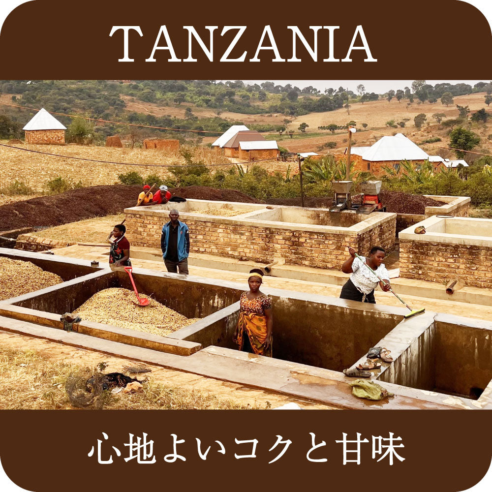 タンザニア  イユラ  25/26ニュークロップ【中深煎り】