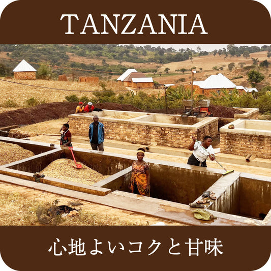 タンザニア  イユラ  25/26ニュークロップ【中深煎り】