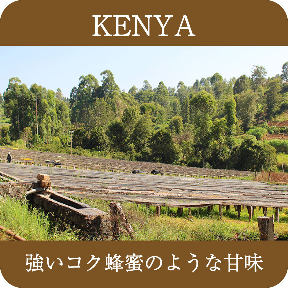 ケニア シンバ【 中深煎り】