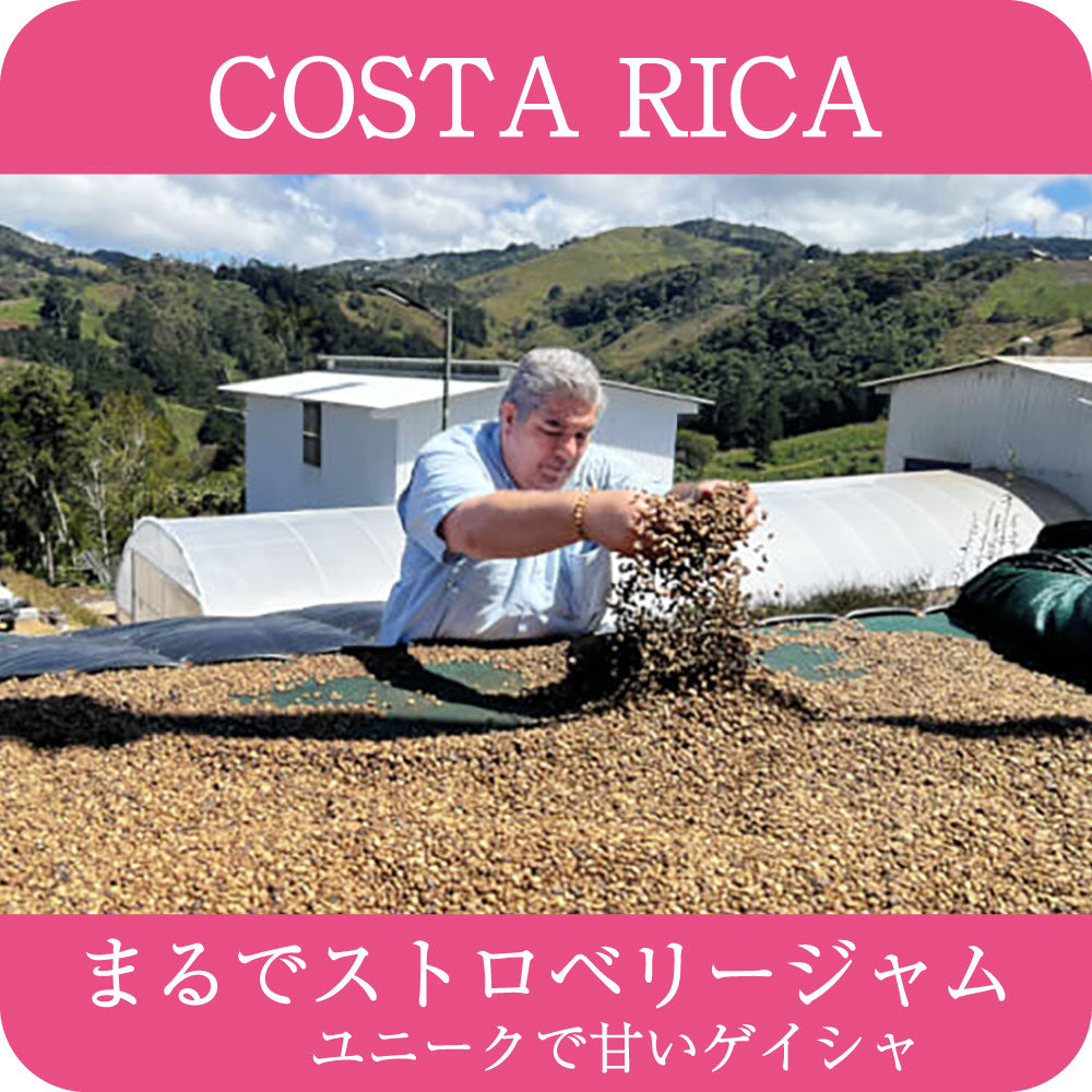 コスタリカ ドン・ホセ農園　ゲイシャ レッドハニー【浅煎り】