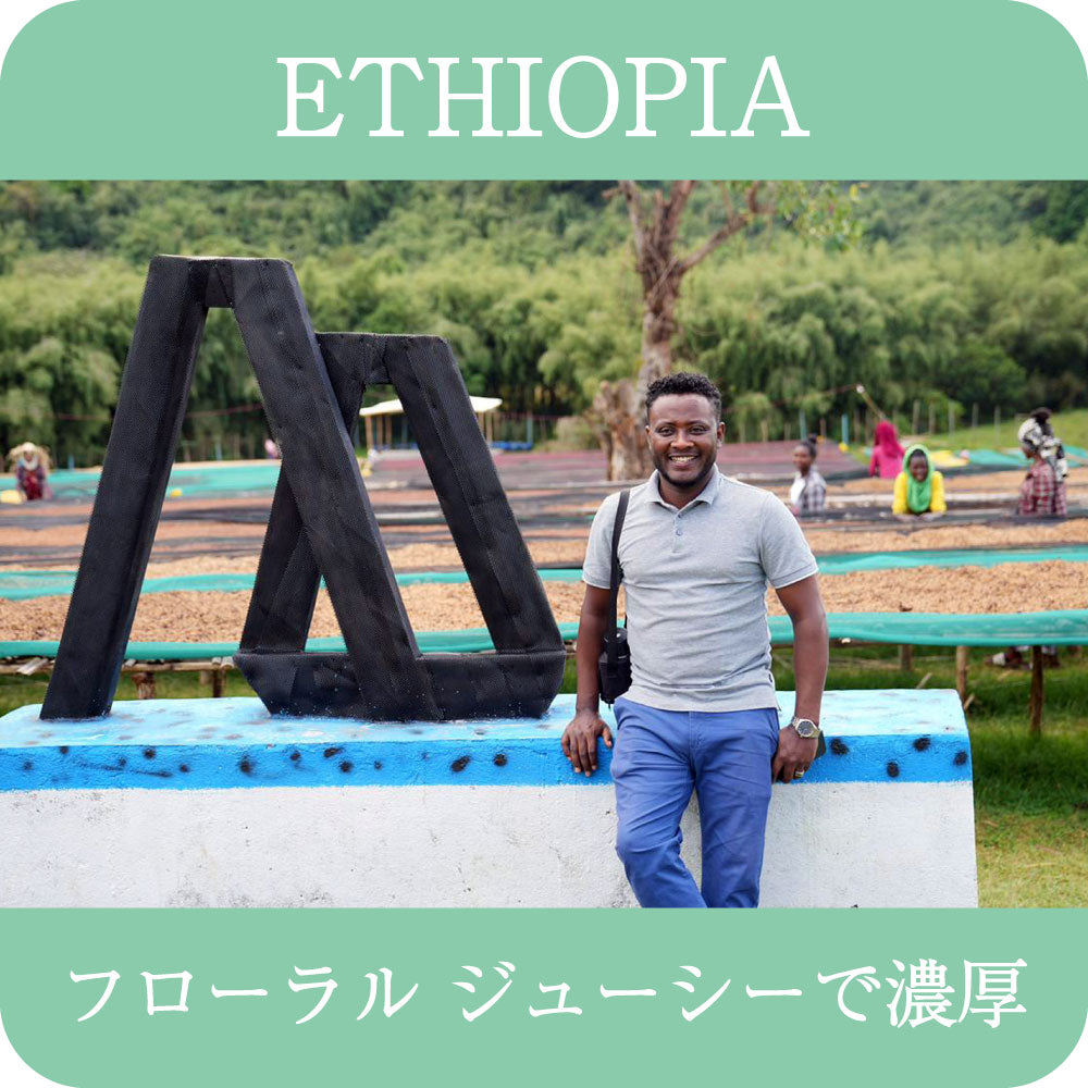 タミル・タデッセ ALO ホワイトハニー 【 浅煎り】