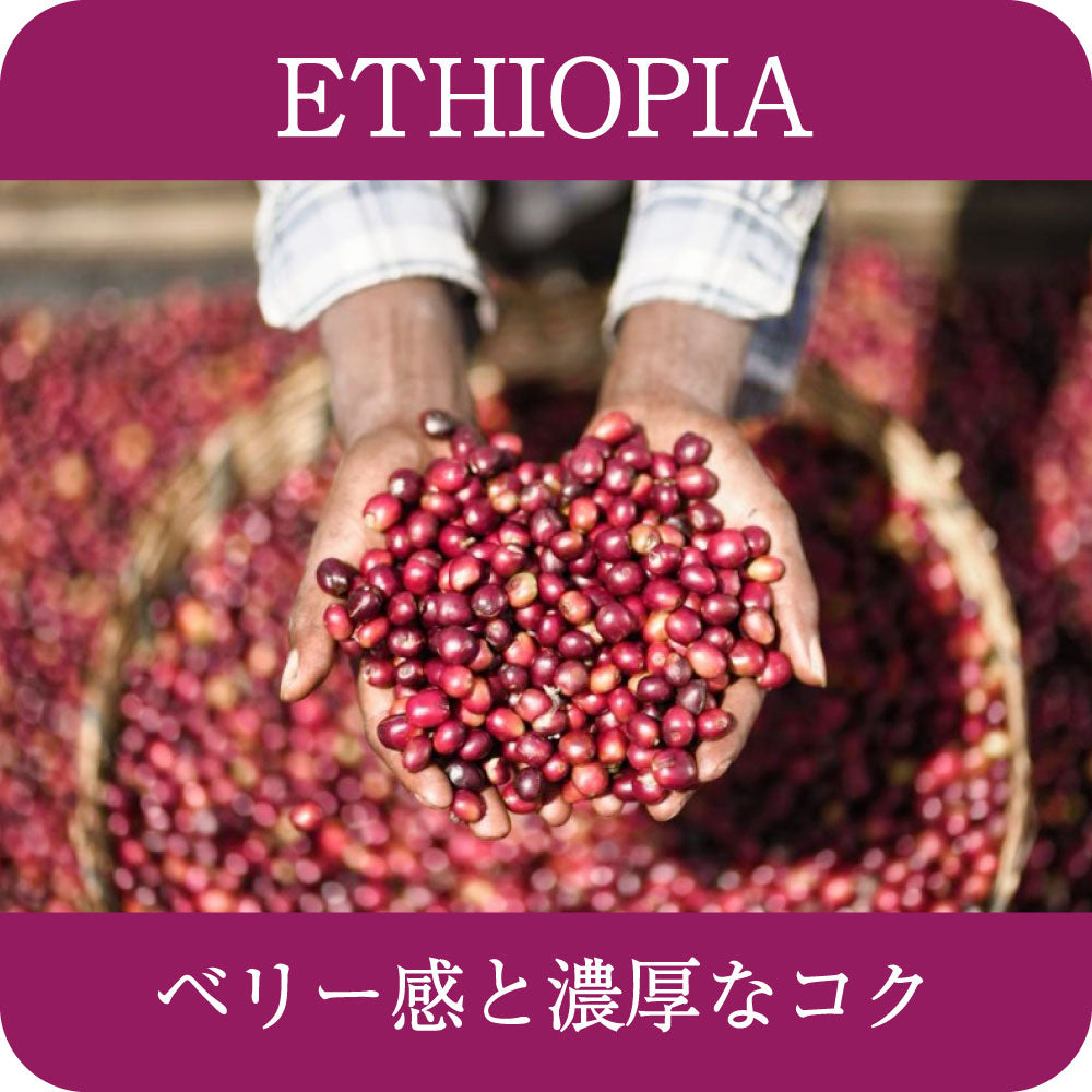 エチオピア チェルベサ ナチュラル【 中深煎り】