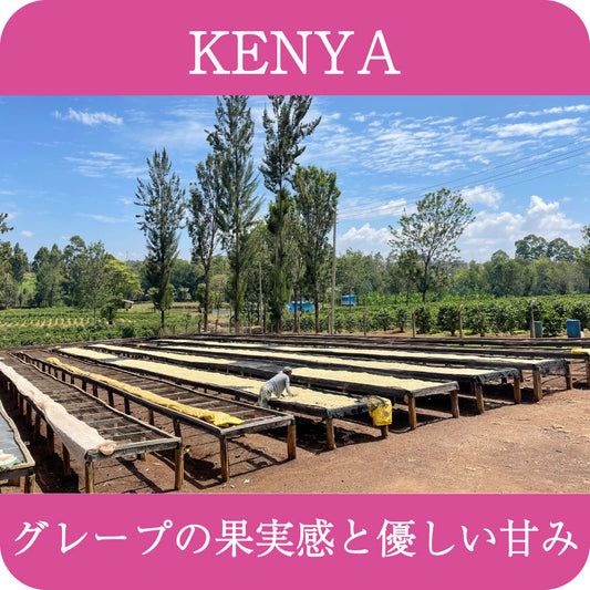 ケニア   Key'sエステート【 浅煎り】