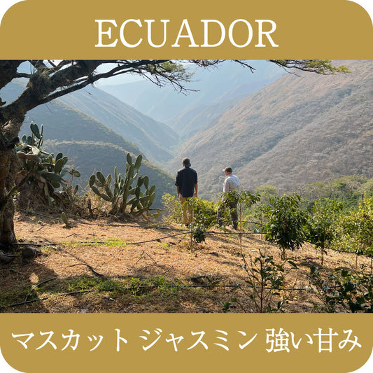 エクアドル ラ・ノリア農園 ゲイシャ【浅煎り】