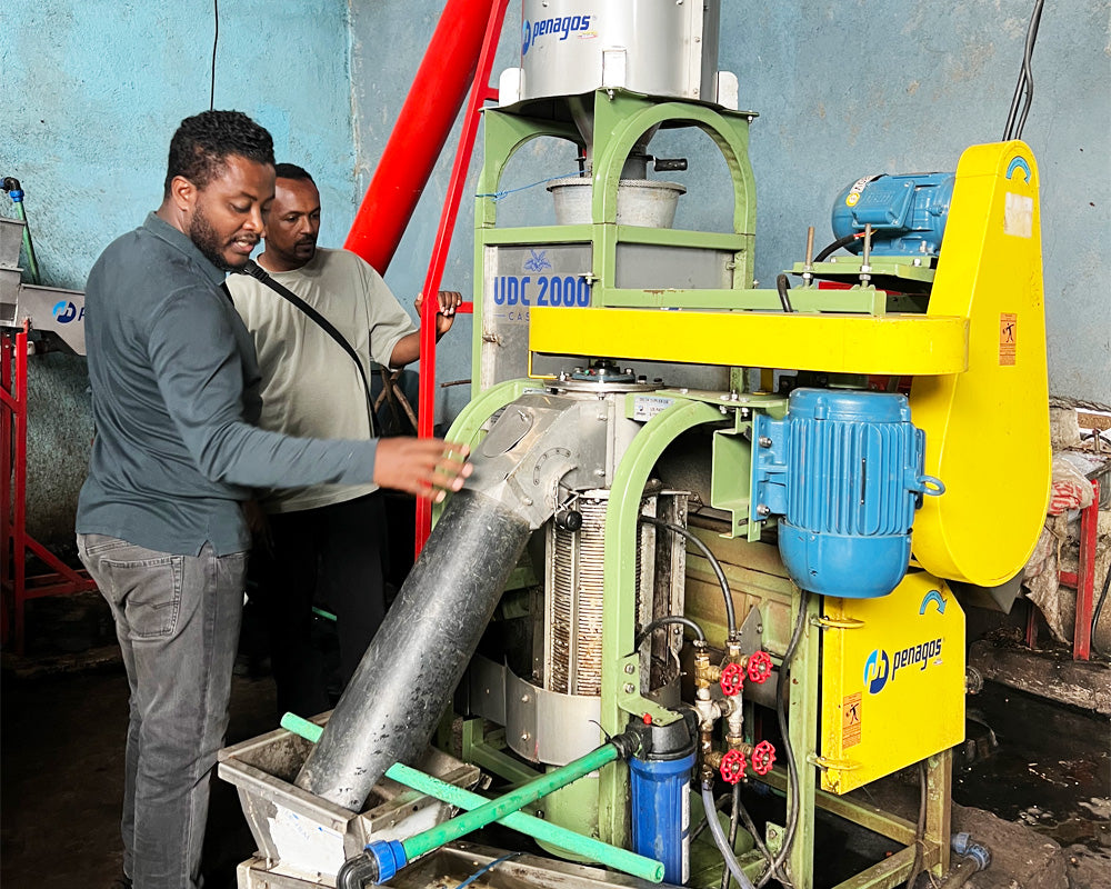 タミル・タデッセ ALO ホワイトハニー 【 浅煎り】