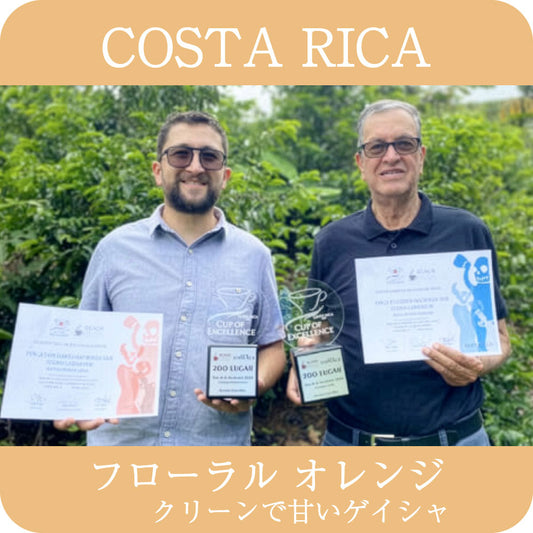 コスタリカ サンイシドロ ラブラドール ゲイシャ【浅煎り】