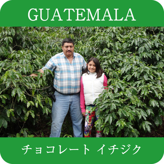 グアテマラ  ラ コリーナ農園【中浅煎り】