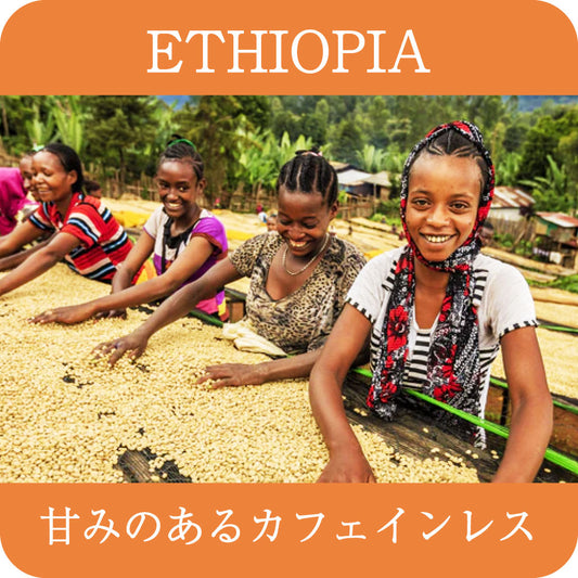 〈デカフェ〉 エチオピア リムボンガフォレスト99.9%【中深煎り 】